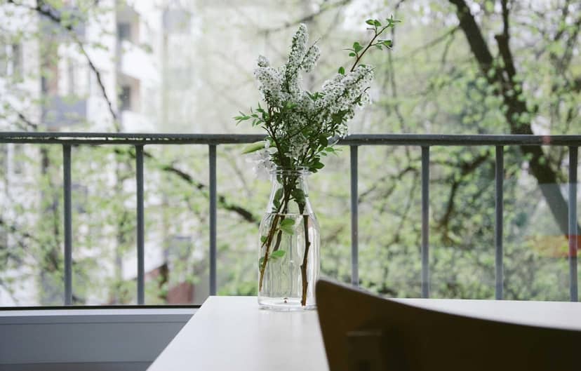 Unauth title QKlbOktU